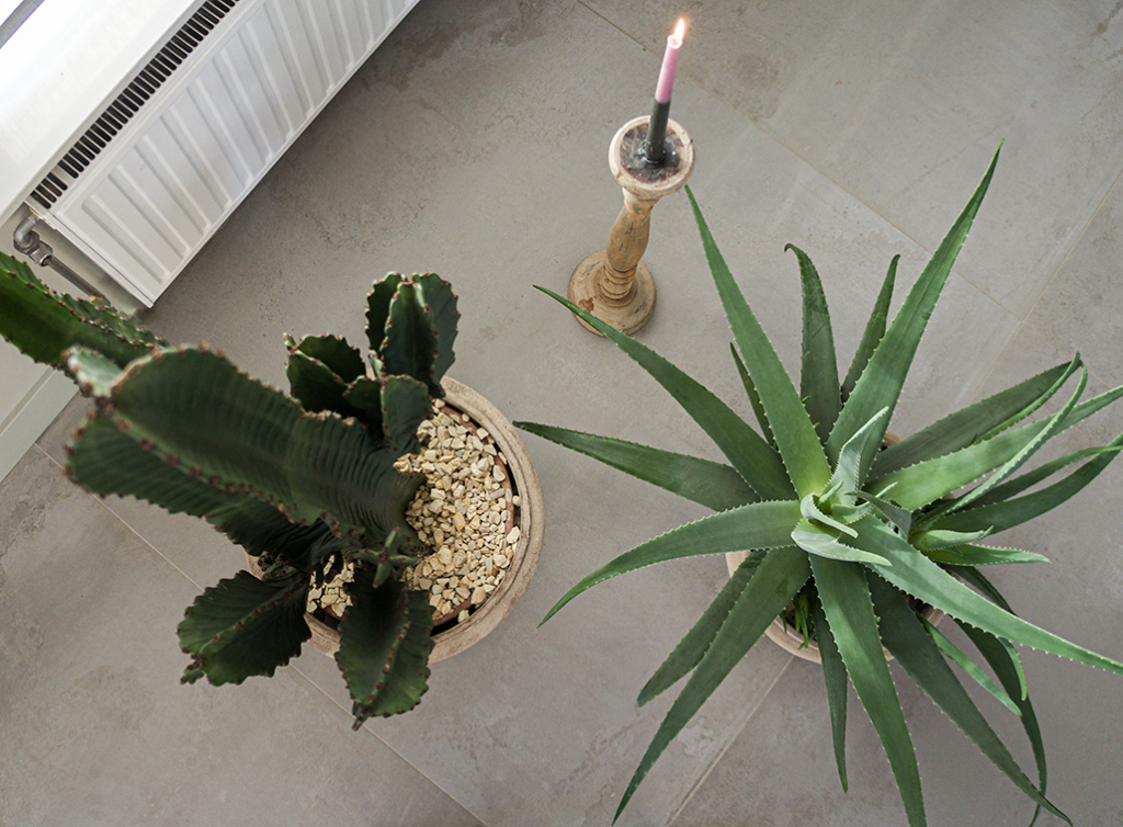 planten in het interieurontwerp